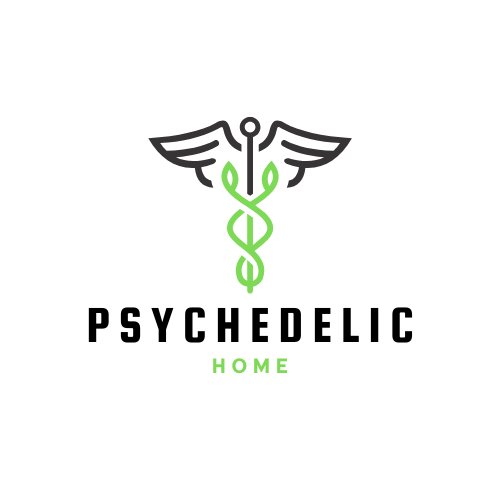 The Psychedelic Home